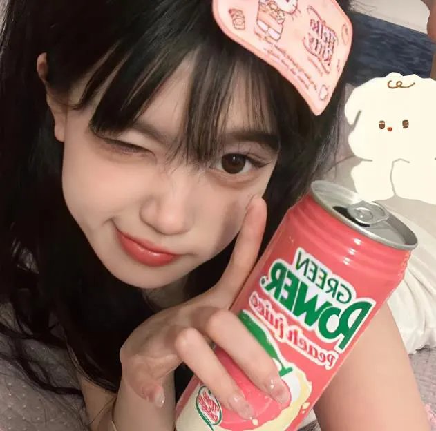 红色康乃馨